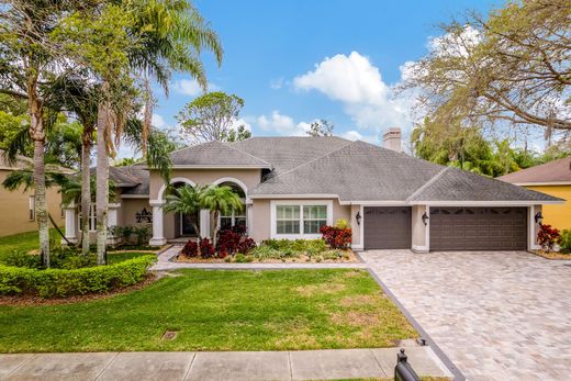 Einfamilienhaus in Palm Harbor, Pinellas County