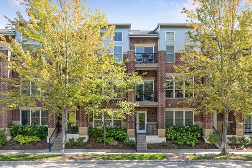 Dom miejski w Saint Paul, Ramsey County