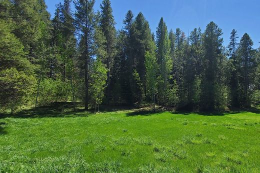 Arsa Alta, Teton County