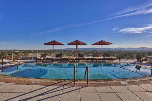 호화 저택 / Phoenix, Maricopa County