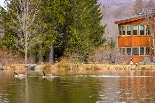 Casa di lusso a Jewett, Greene County