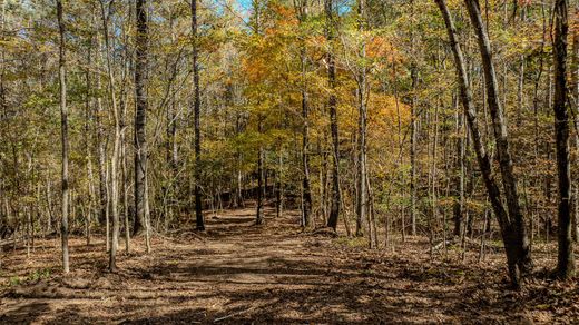 Terreno a Chattahoochee Hills, Fulton County
