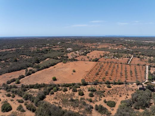 Campos, Illes Balearsの土地