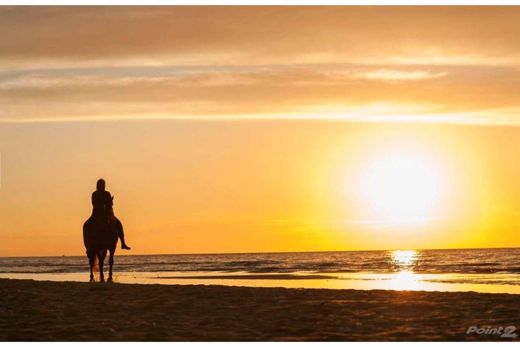 Detached House in La Romana, Provincia de La Romana