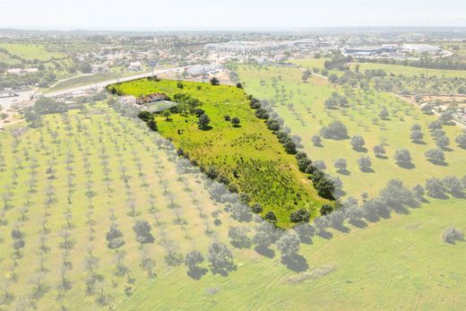 Terreno - Albufeira e Olhos de Água, Albufeira