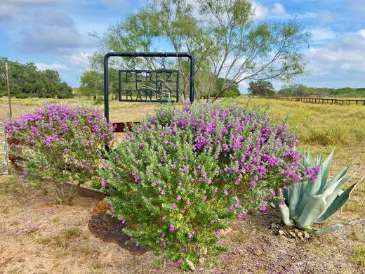 منزل ريفي ﻓﻲ Floresville, Wilson County