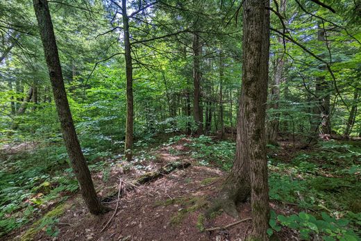 Land in Newfane, Windham County