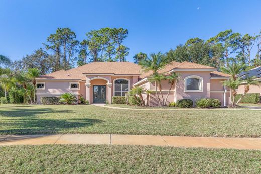 Ormond Beach, Volusia Countyの一戸建て住宅