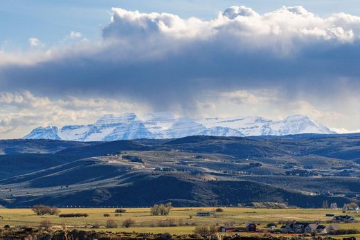 Arsa Francis, Summit County