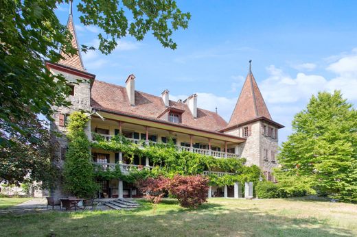 Kasteel in Mex, Gros-de-Vaud District