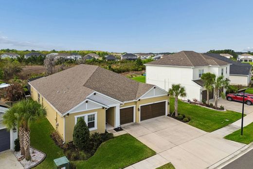 Detached House in Wesley Chapel, Pasco County