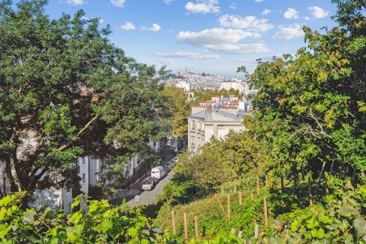 Участок, Buttes-Chaumont, Villette, Bas Belleville, Paris