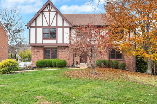 Casa Unifamiliare a St. Louis, City of Saint Louis