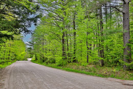 Αγροτεμάχιο σε Ludlow, Windsor County