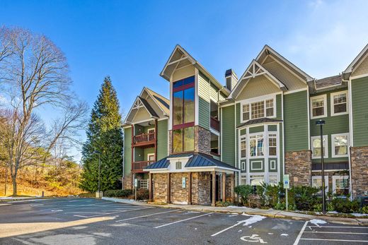Detached House in Asheville, Buncombe County
