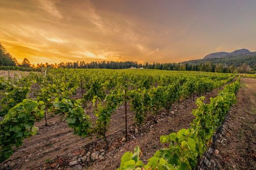 Farmhouse in Duncan, Cowichan Valley Regional District