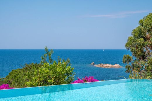 ‏וילה ב  Pietrosella, South Corsica