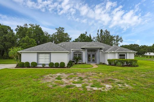 Vrijstaand huis in Tavares, Lake County