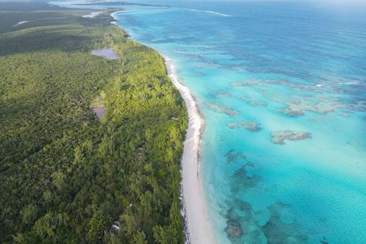 Tarpum Bay, South Eleutheraの土地