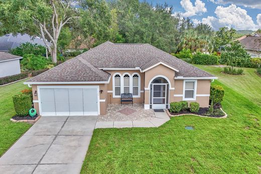 Lady Lake, Lake Countyの高級住宅