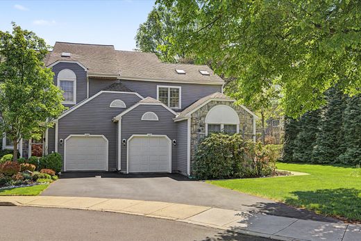 Luxury home in New Hope, Bucks County