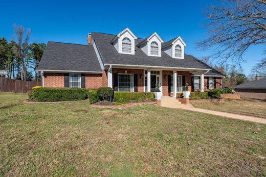 独立式房屋  Palestine, Anderson County