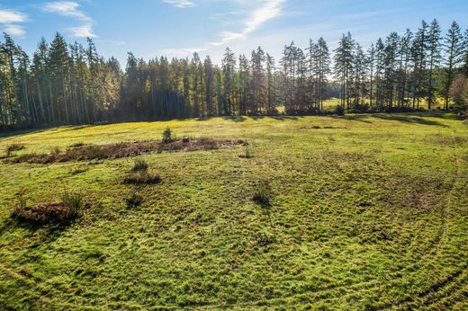 Teren w Vashon, King County