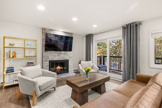 Şehir evi  Aspen, Pitkin County