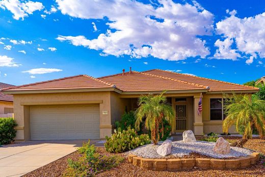 호화 저택 / Surprise, Maricopa County