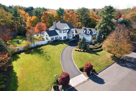 Dix Hills, Suffolk Countyの一戸建て住宅