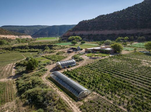 단독 저택 / Monticello, San Juan County