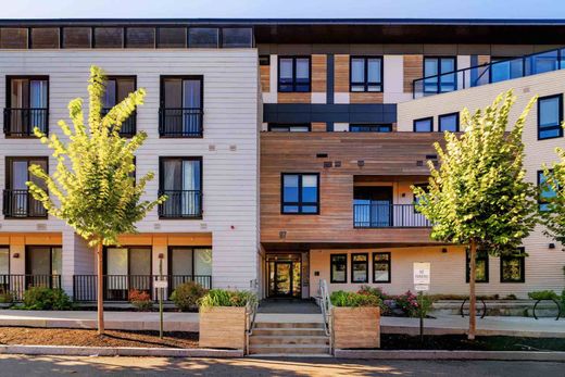 Apartamento - Cambridge, Middlesex County