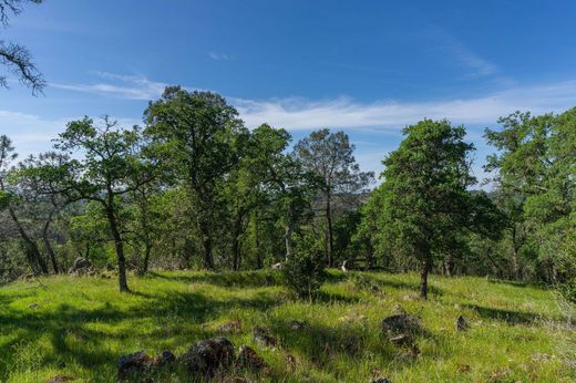 Sutter Creek, Amador Countyの土地