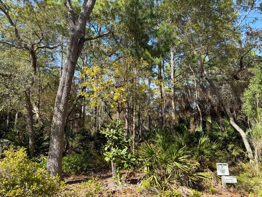 Terreno a Santa Rosa Beach, Walton County