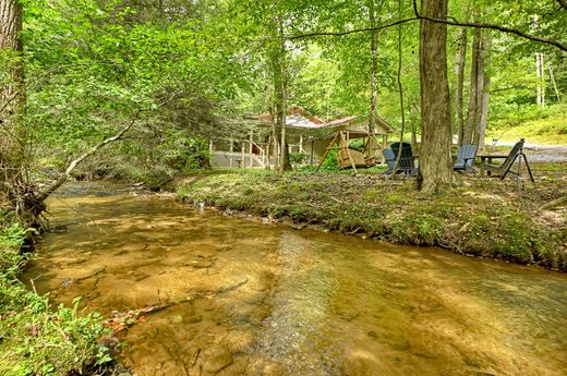 단독 저택 / Blue Ridge, Fannin County