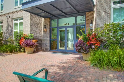 호화 저택 / Charleston, Charleston County