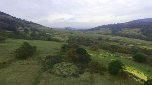 Teren w Ejido San Jerónimo, Aculco