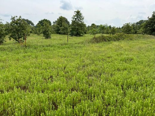 Landsitz in Boswell, Choctaw County