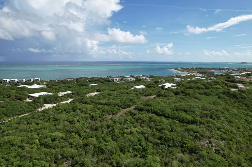 토지 / Blue Mountain, Providenciales