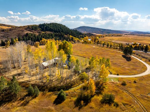 Элитный дом, Steamboat Springs, Routt County