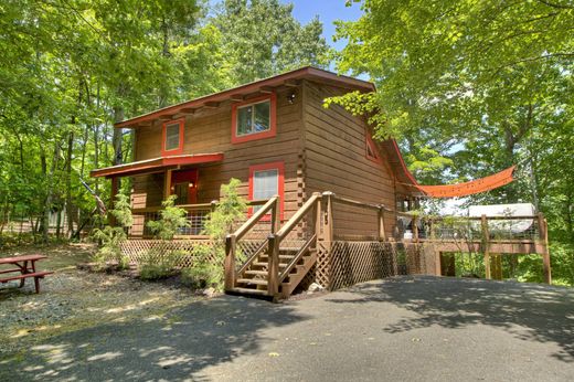 단독 저택 / Morganton, Fannin County