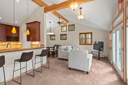 Dublex Aspen, Pitkin County