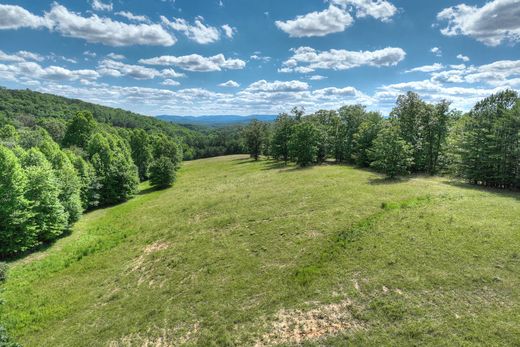 地皮  Mineral Bluff, Fannin County