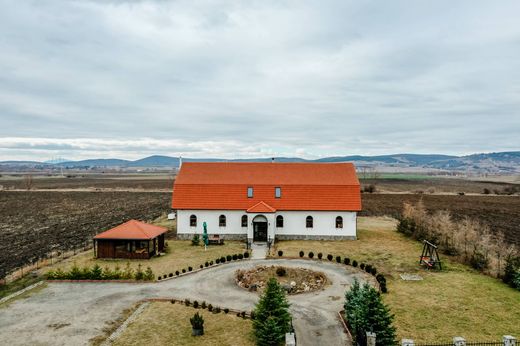 호화 저택 / Coșeni, Municipiul Sfântu Gheorghe