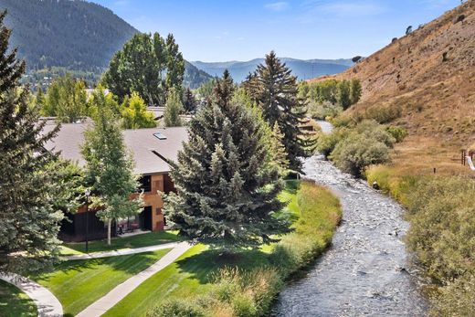 Apartament w Jackson, Teton County