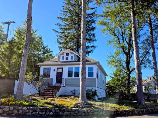 Mount Arlington, Morris Countyの一戸建て住宅