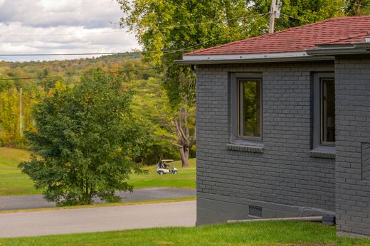 Catskill, Greene Countyの一戸建て住宅