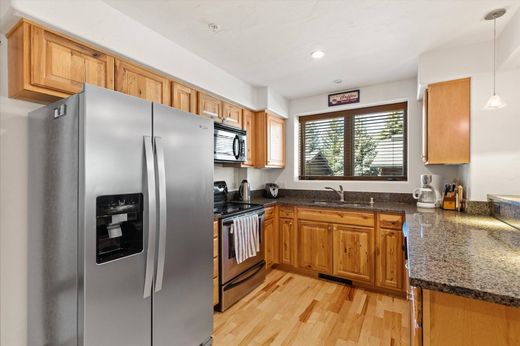 Appartamento a Steamboat Springs, Routt County