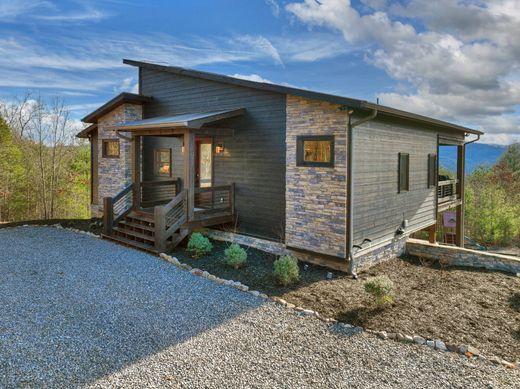 Casa Unifamiliare a Mineral Bluff, Fannin County
