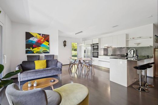 Apartment in Saint-Sulpice, Ouest Lausannois District